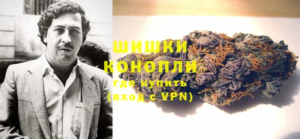 твердый Вяземский